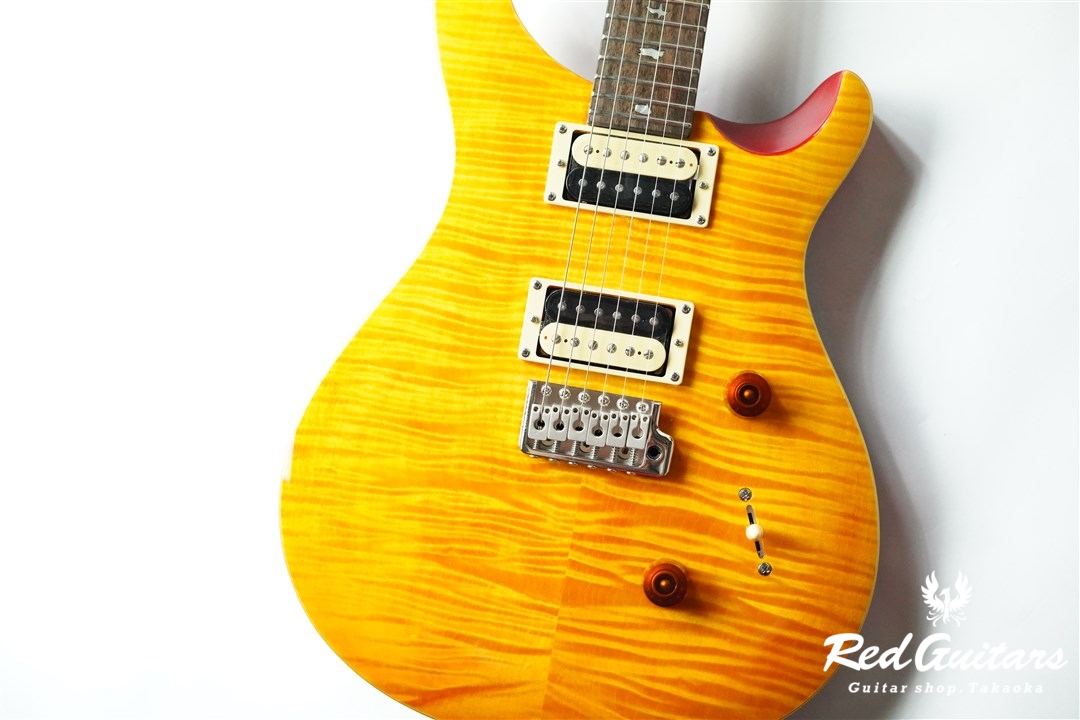 Paul Reed Smith (PRS) SE CUSTOM 24　VY 入荷情報】Paul Reed Smith(PRS) – SE Custom24 Zebra ゼブラウッド